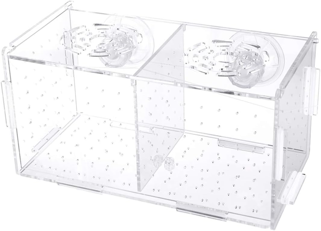 POPETPOP Fish Breeding Box2 Isolation Box Breeder