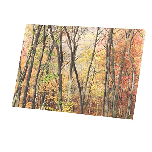 Toile forêt d'automne rouge et jaune pour sublimer votre séjour
