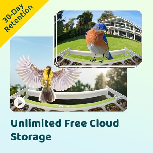 Image of Birdfy Smart Bird Feeder with Camera, Durable Metal Bird Feeders for Outdoors, Auto-Detect & Record HD Videos, Instant Alerts & Live View, Solar Powered, Weatherproof for Backyard, Ideal Gift for Mom