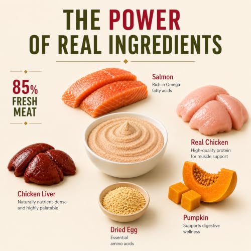 Image of Grain Zero Adult Cat Wet Mousse 80g Pack of 5, (400g) | Salmon Flavour | Rich in Protein | Hydrating & Easy to Digest | No Artificial Flavours | Packed with Essential Vitamins & Antioxidants