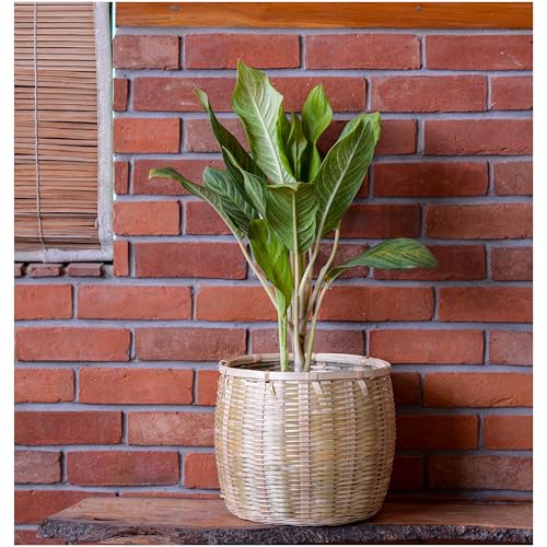 Image of Bamboo Basket - Versatile Indoor & Outdoor Use for Balcony, Terrace, Garden, Bedroom, Living Room, Flower Pot Storage for Toys, Clothes, Magazine (Medium)