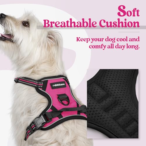 Image of rabbitgoo Dog Harness No Pull with 2 Leash Clips, Adjustable Soft Padded, Reflective Oxford No Choke Pet Vest with Easy Control Handle for Puppy, Hot Pink, XS