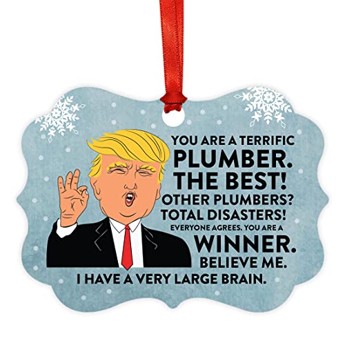 Andaz Press President Donald Trump Fancy Frame Keepsake Christmas Ornament Gag Gift, Terrific Plumber, 1-Pack, Funny Metal Holiday Present Ideas Republican Political Plumber Christmas Ornament