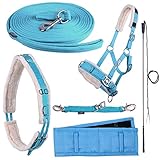 netproshop Longieren Zubehör Farbe Hellblau Wählen Sie: Zaum, Longe, Pad oder Gurt usw, Auswahl:Longiergurt, Groesse:Shetty