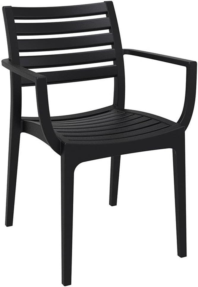 Compamia Artemis Outdoor Patio Dining Arm Chair in Black (Set of 2)