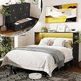 Ihanherry Farmhouse Queen Murphy Bed with Storage Drawer,Cabinet Bed with LED Lights & Charging Station, Space Saving Wall Bed for Small Bedroom/Home Office, Noise Free & Easy Assembly, Black
