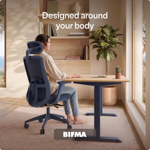 commercial grade ergonomic chair review and rating product image