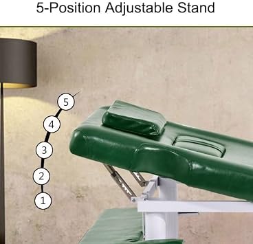 Heavy Duty Physical Therapys Table, Esthetician Spa Bed with Adjustable Back Rest Heavy Duty Physical Therapys Table for Home Clinic Massages(Black)