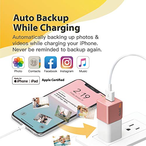 Qubii Pro Photo Storage Device for iPhone & iPad, Auto Backup Photos & Videos, Photo Stick for iPhone, Digital Photos Organizer【microSD Card Not Included】- Rose Gold - Thumbnail 6