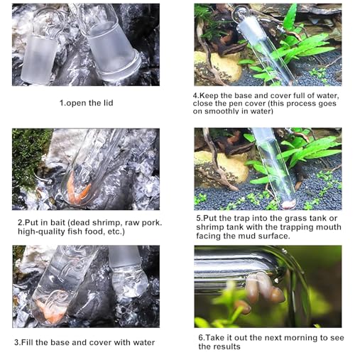 4 Stück Trap Schneckenfalle Aquarium, Planarienfalle Schneckenfalle Aquarium, Planarienfalle Aquarium Geeignet für Verschiedene Anwendungsbereiche Wie Pflanzenbecken, Shrimpsbecken Usw