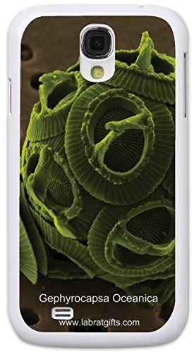 Amazon.com: Lab Rat Gifts SS4020CASE Plastic Amazing Exclusive SEM ...