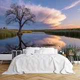 Murali su misura personalizzata,Serene Natural Wetland Sunset Reflection at Dusk - Albero solitario senza foglie in acqua erba palustre Horizon House,Tessuto autoadesivo per rivestimento murale,Carta