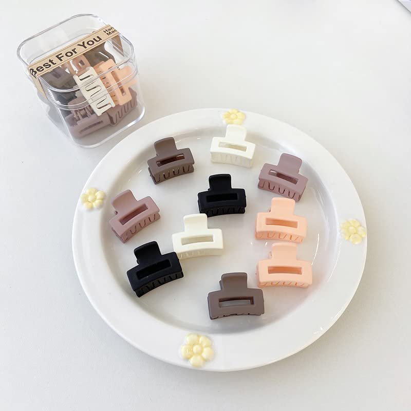 10PCS Small Hair Clips Set for Women and Girls - Mini Claw Styling Securing Hair(set1#)