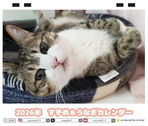 【予約販売】 すずめ＆うなぎ 猫 2026年 卓上カレンダー TC26092のサムネイル