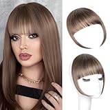 LEEONS Clip on Bangs for Women - Synthetic Fake Bangs Hairpiece with Clips, Easy to Use Bangs Hair Clip for Instant Style Change, 2/88#