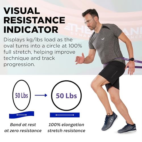 Image of THERABAND High Resistance Bands Set of 4, Light to Extra-Heavy Elastic Super Bands for Full Body Workouts, Physical Therapy, Strength Training, Durable 41 inch Loop Exercise Bands, 15-50 lbs Resistance