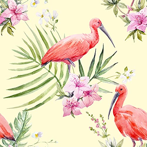 Papiers peints muraux décoration palmier flamant 416x254