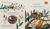 Bird Builds a Nest: A First Science Storybook