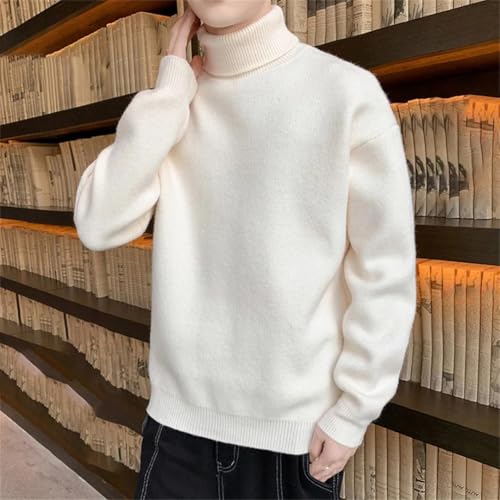 Men's Thick Knit Turtleneck Sweater Solid Warm Long Sleeve Casual Pullover Jumper4
