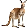 Amazon.com: Kangaroo - Life Size Cardboard Cutout Standup People with ...
