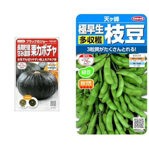 �y�Z�b�g�����z�T�J�^�̃^�l ������1033 �J�{�`�� ���������ÂݔZ���I�J�{�`�� �u���b�N�̃W���[ + ������7373 ���܂��}�� �V���� 00927373