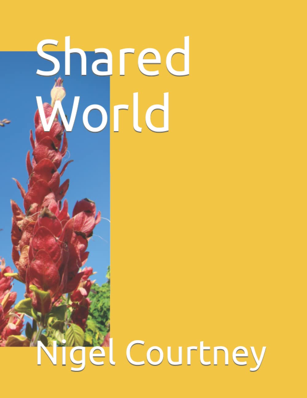 Shared World