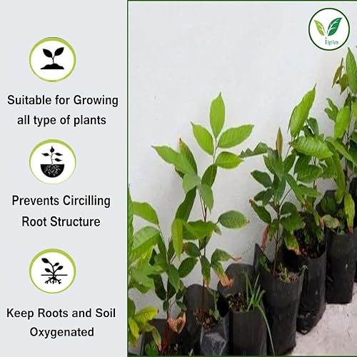 Image of IAgriFarm UV Protected Poly Grow Bag /Nursery Plant Bags, 25x25 inch, 10 Qty, Black