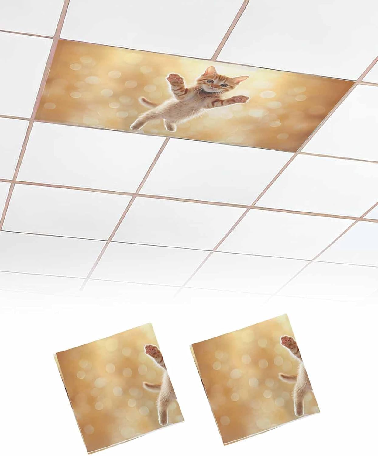 Cute Orange Cat Fluorescent Light Covers for Ceiling Lights 4x2 feet,2 Pack Magnetic Light Filters for Classroom,Lovely Modern Floating Pet Kitten Fluorescent Lights Shade Panel for Office School Drop