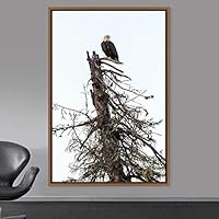 Framed Canvas Wall Art Single Bird Birds Expressive Farmhouse/Country Multicolor Photography Portrait Single - 16x24 inches