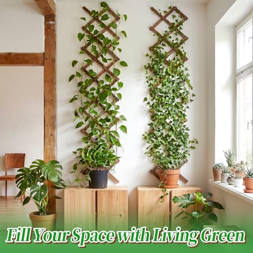 Image of 2Pcs 13x78 Expandable Wood Wall Trellis for Climbing Plants Outdoor /Indoor