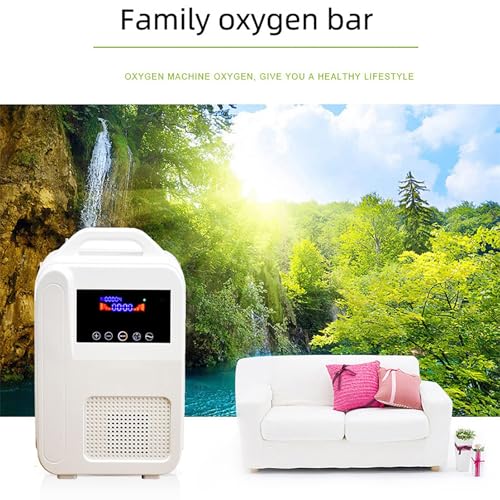 Appareil électrique portable à oxygène – Booster d'air à ions négatifs avec canule et étui de transport – Machine à oxygène compacte pour la maison, les voyages, l'extérieur et la voiture