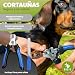 Imagen de BUDYX. Kit de Maletín de cuidado para Mascotas: Peines