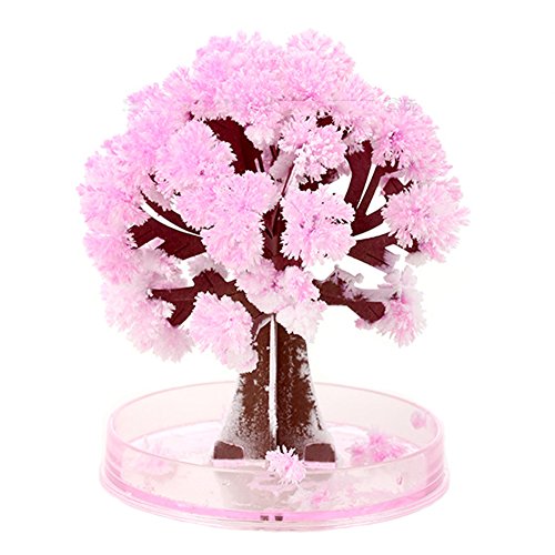 Peoria Magic Crystal Growing Sakura Paper Tree Cherry Tree Novelty Toys Children's Gifts Magic Bonsai