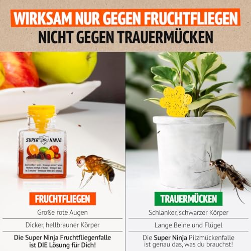 Super Ninja Fruchtfliegenfalle für Innenbereich – 2er-Pack, Wirksame Obstfliegenfalle für Haushalt und Küche, bis zu 3 Wochen Leistung pro Flasche, Kinder-und haustierfreundlich