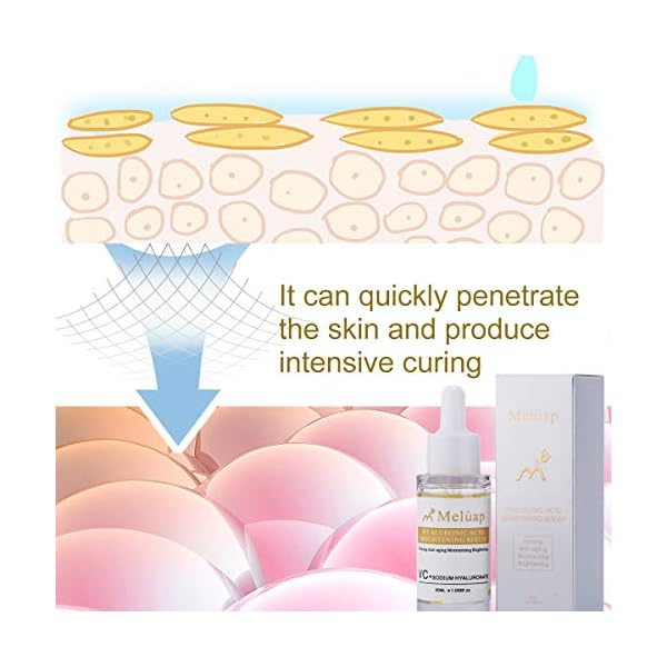 Meluap-Anti-Ageing-Serum-Vitamin-C-Face-Serum-With-Hyaluronic-Acid-Retinol-Anti-Wrinkle-Facial-Serum-Boosts-Collagen-Helps-Erase-Fine-Lines-Reduces-Skin-Discoloration30ML101OZ Meluap Anti-Ageing Serum, Vitamin C Face Serum With Hyaluronic Acid, Retinol, Anti-Wrinkle Facial Serum, Boosts Collagen Helps Erase Fine Lines Reduces Skin Discoloration.30ML/1.01OZ