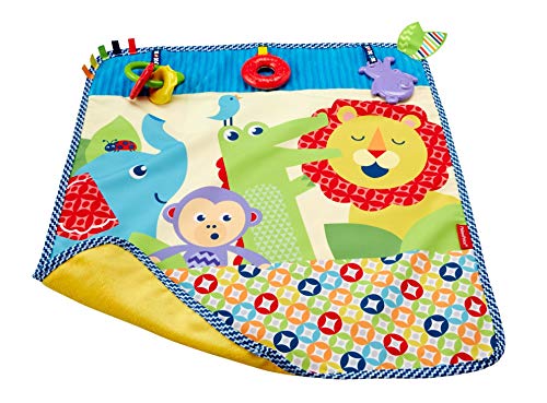 Fisher-Price On-The-Go Activity Throw #TOP5