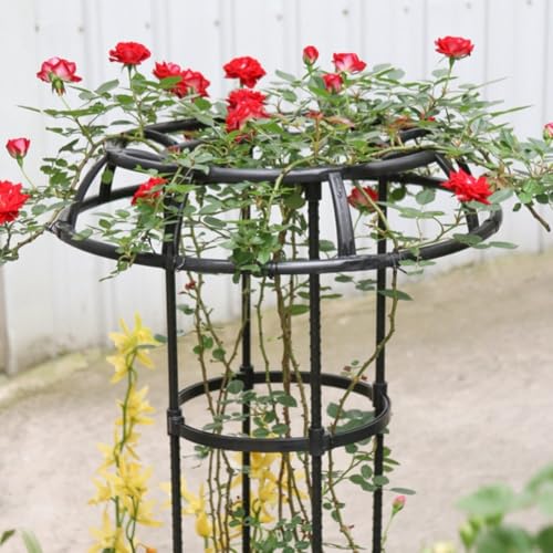 Soporte de torre de obelisco de jardín para plantas trepadoras y vid de tomate 4