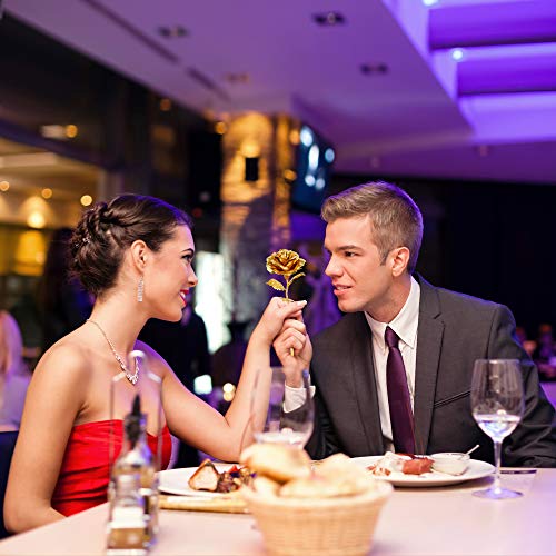 Gold Leaf 24K Gilded Artificial Roses for Thanksgiving Day Mother's Day Valentine's Day Birthday Gift (Gold)