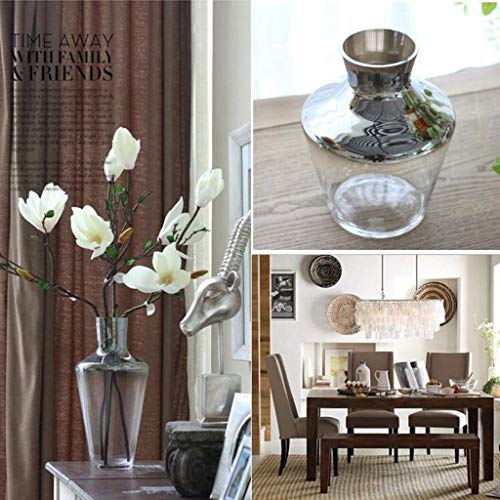 Vase en verre transparent MU pour sublimer une fleur séchée dans le salon