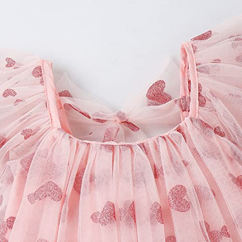 Baby Girl Tulle Dress Kids Heart Tutu Skirt Lace Sleeveless Princess Sundress3