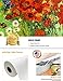 DECORARTS - Red Poppies and Daisies, Vincent Van Gogh Art Reproduction. Giclee Canvas Prints Wall Art for Home Decor 16x20, Depth 1-1/2