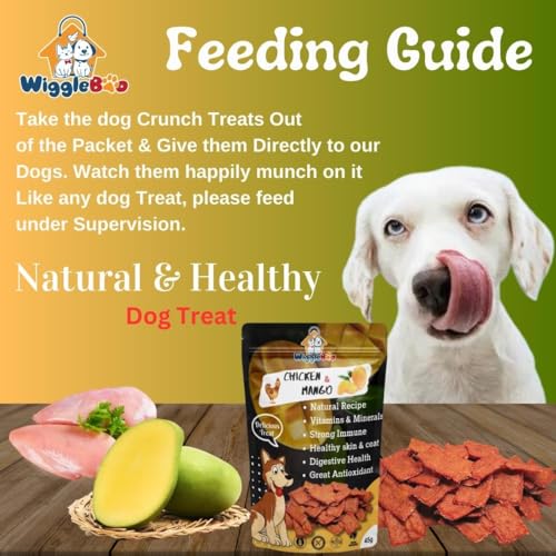 Image of Chicken & Mango Dog Treat | Protein Rich | Fiber Rich | Crunchy Healthy Snacks | Training Treat | 45gm