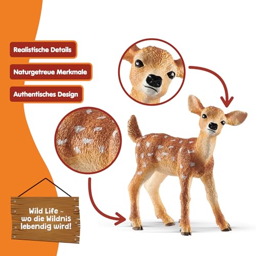 SCHLEICH WILD Life | Weißwedelkalb 14820 | detailgetreue Tierfiguren | Zoo Spielzeug | Geschenk für Jungen & Mädchen | Deko für Geburtstag oder Weihnachten | Spielfigur ab 3 Jahren | 5 x 2 x 5 cm
