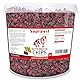 Supravit Rote Beete Chips - 2kg Eimer Pferdeleckerlis ohne Zucker - für alle Pferde – 100% Natur ohne Zusatzstoffe – als schmackhafte Pferdeleckerlis oder als Zusatzfutter