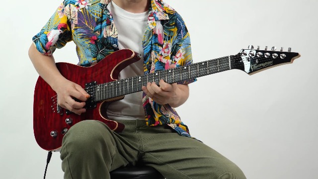 Amazon.com: Bullfighter Solid Wood Electric Guitar Kit, HH Pickup