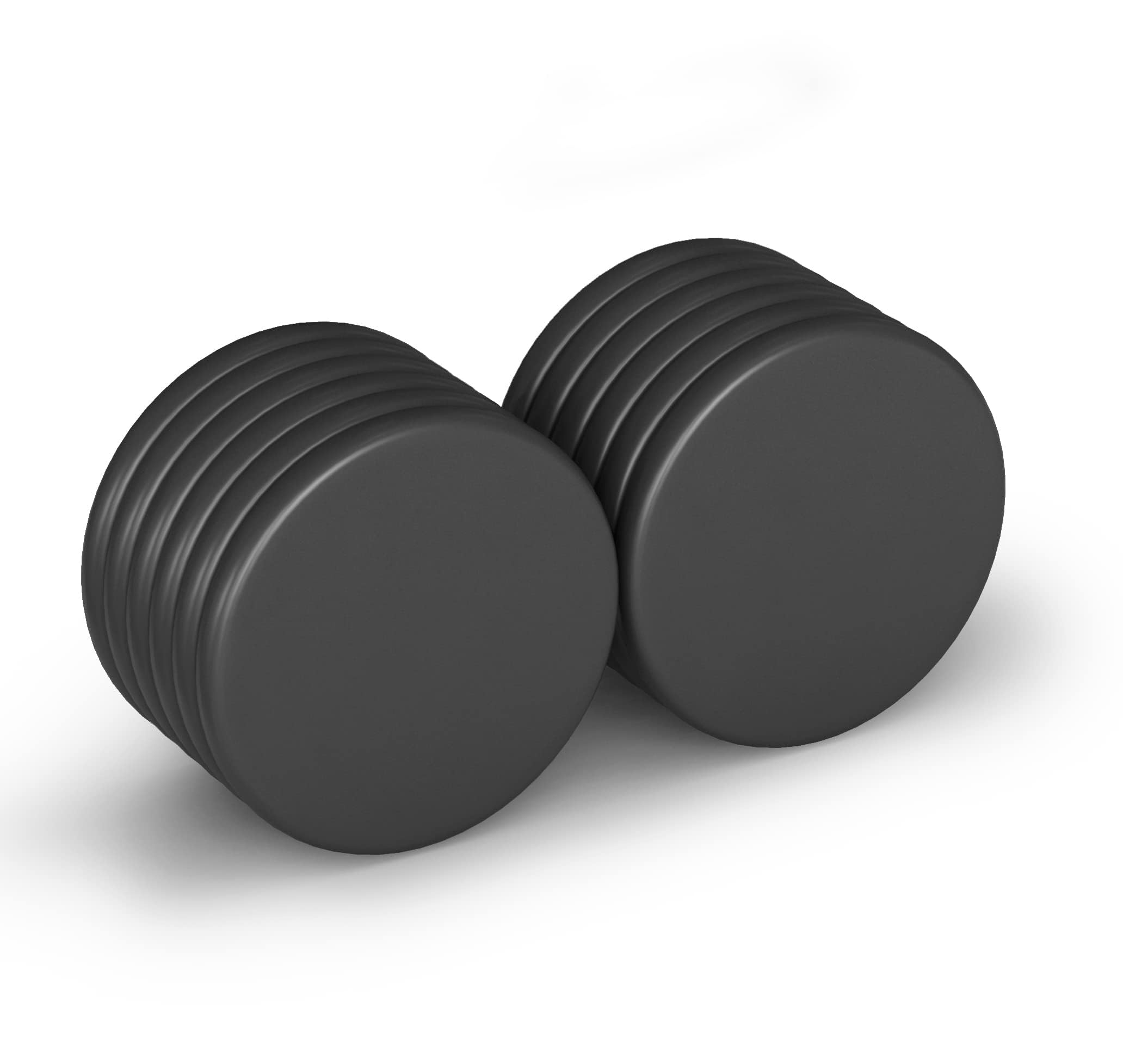 Realth Neodymium Disc Magnets, 12 Pack with Black Epoxy Coating, 25mm x 2mm, for Fridge, Office, Science and Craft Projects (MDB250212)