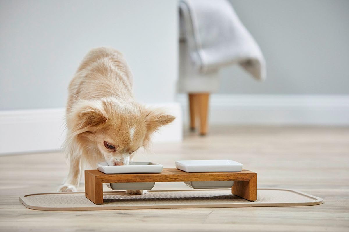 sabro kudde hundebett Hundebett Komfort Set
