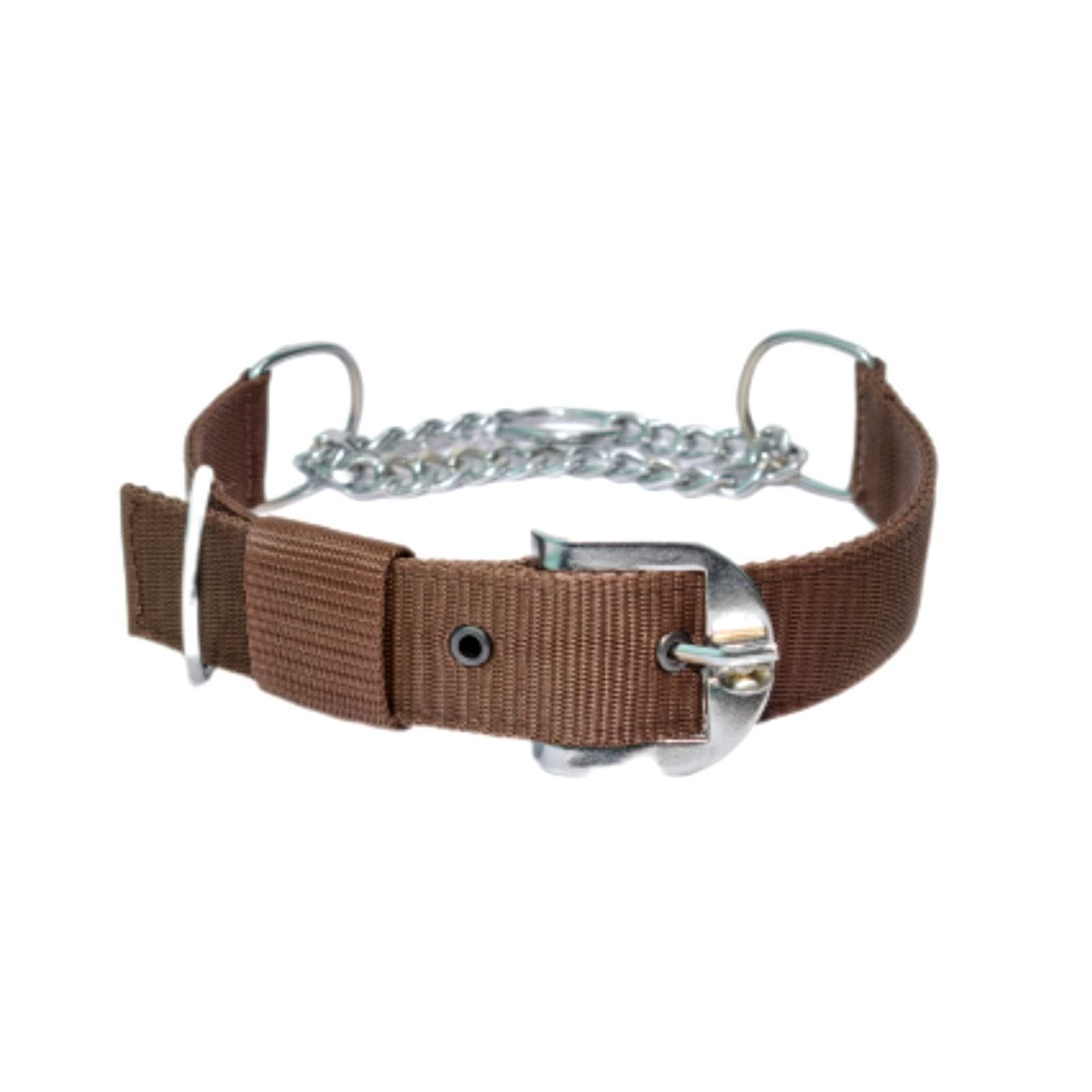 YOUNIQUE MERCHANDISE Pet Nylon Half Chain Stainless Steel Dogs Choke Collar (Extra Large, Brown) (B09JWMXKY4) Amazon Price History, Amazon Price Tracker
