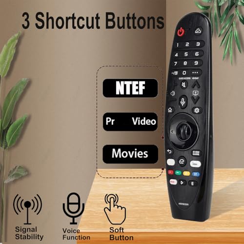 Télécommande AKB75855501 pour LG Smart TV Magic avec pointeur vocal