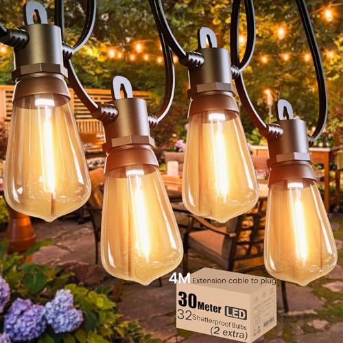 Meidaoduo Festoon Lights Outdoor 30M/100 FT Garden String Festoon Lights IP65 with 32 LED 2700K Bulbs Outdoor String Lights Mains for Indoor Outside Patio Pergola Decor, 4M Extension Cable Built-in